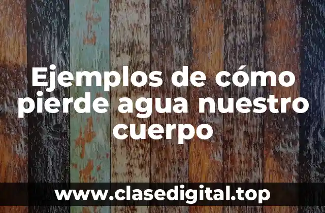 Ejemplos de cómo pierde agua nuestro cuerpo