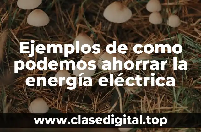 Ejemplos de como podemos ahorrar la energía eléctrica