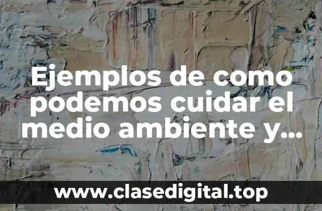 Ejemplos de como podemos cuidar el medio ambiente y Significado