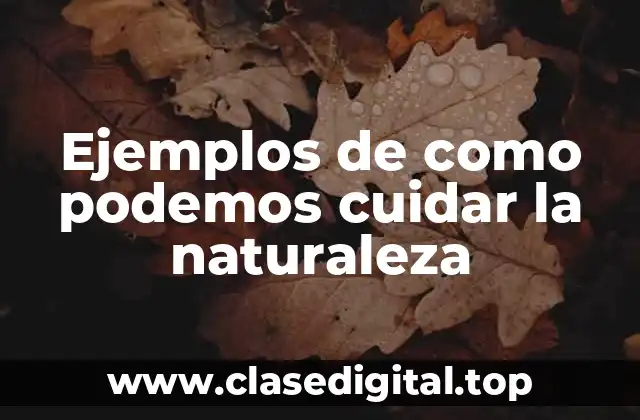 Ejemplos de como podemos cuidar la naturaleza