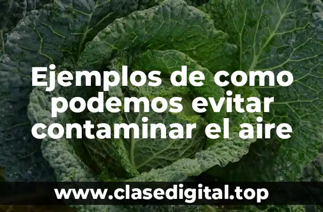 Ejemplos de como podemos evitar contaminar el aire