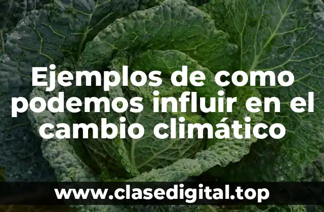 Ejemplos de como podemos influir en el cambio climático