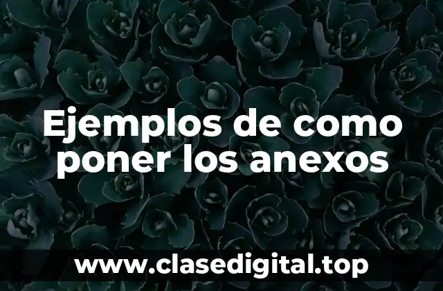 Ejemplos de como poner los anexos