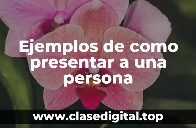 Ejemplos de como presentar a una persona