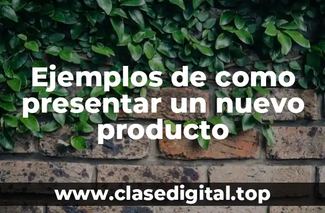 Ejemplos de como presentar un nuevo producto