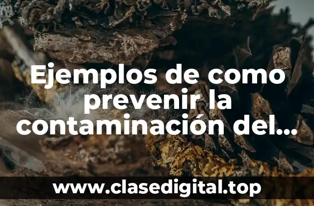 Ejemplos de como prevenir la contaminación del suelo