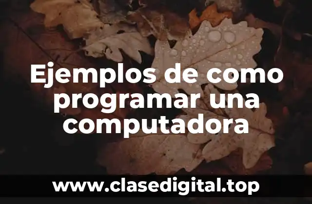 Ejemplos de como programar una computadora