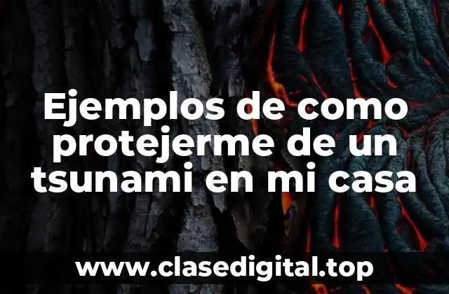 Ejemplos de como protejerme de un tsunami en mi casa