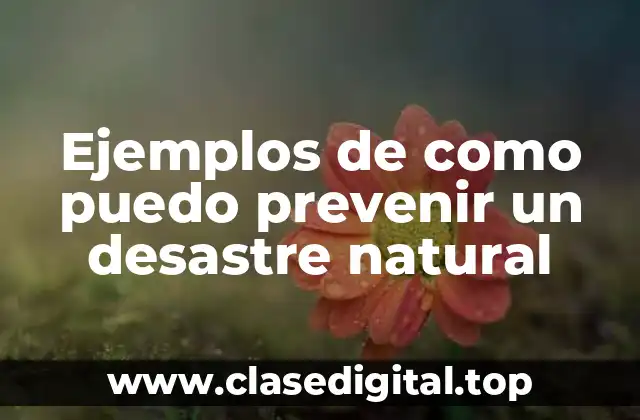 Ejemplos de como puedo prevenir un desastre natural