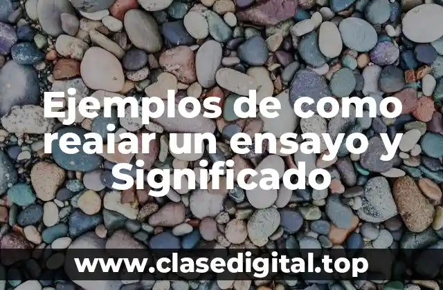 Ejemplos de como reaiar un ensayo y Significado