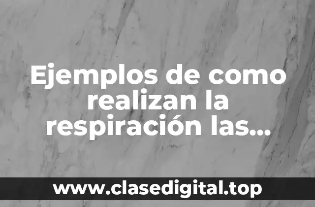 Ejemplos de como realizan la respiración las plantas