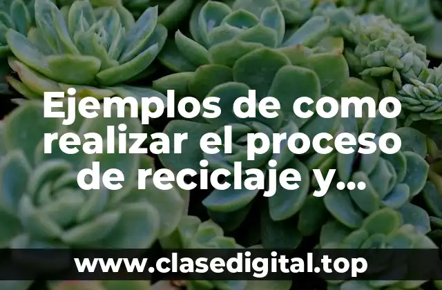 Ejemplos de como realizar el proceso de reciclaje y Significado