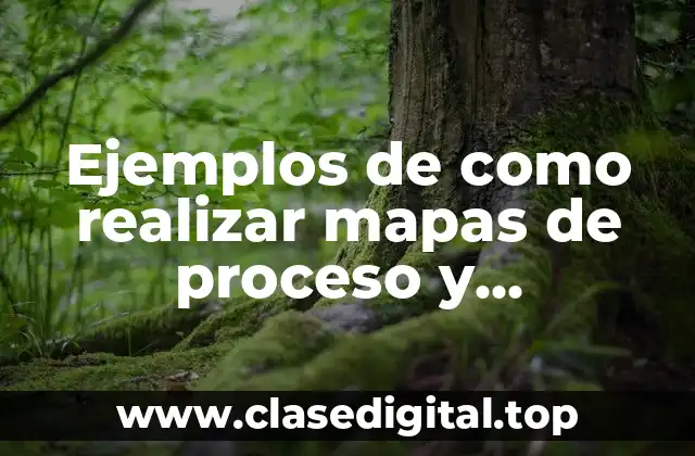 Ejemplos de como realizar mapas de proceso y Significado