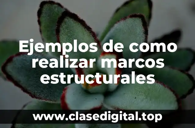 Ejemplos de como realizar marcos estructurales