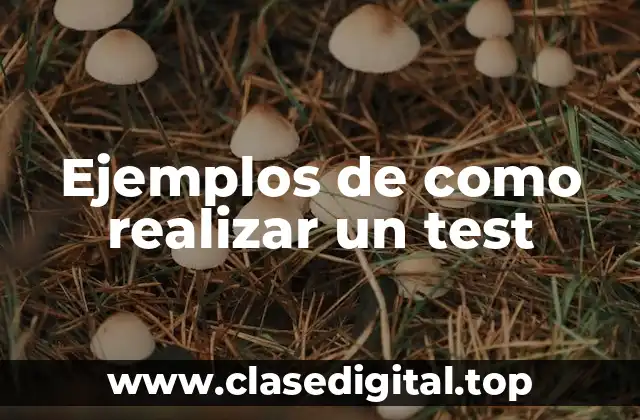 Ejemplos de como realizar un test