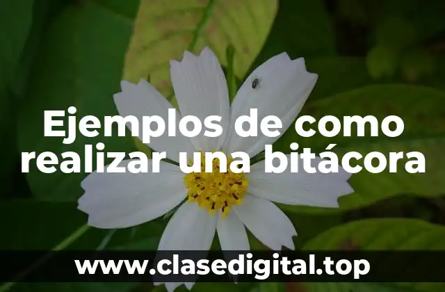 Ejemplos de como realizar una bitácora