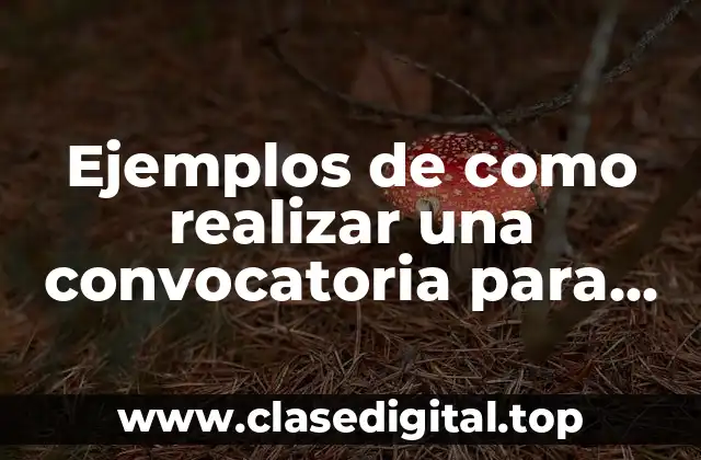 Ejemplos de como realizar una convocatoria para una actividad escolar y Significado