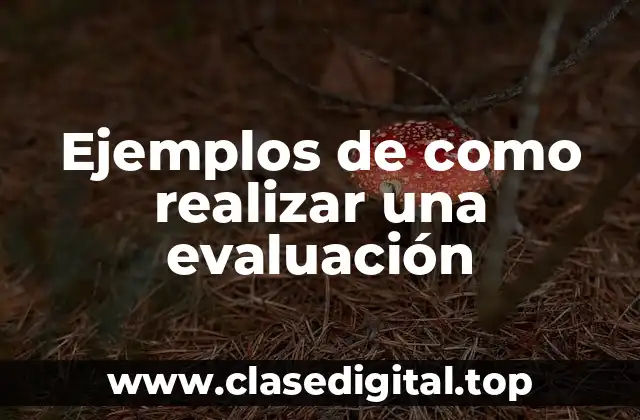 Ejemplos de como realizar una evaluación