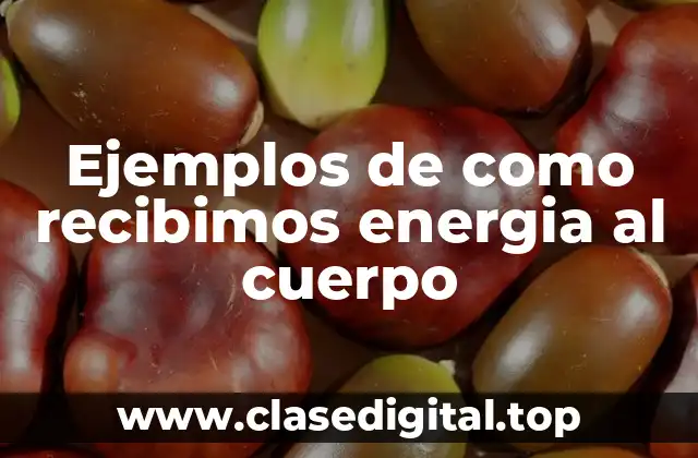 Ejemplos de como recibimos energia al cuerpo