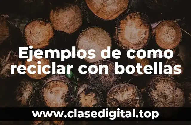 Ejemplos de como reciclar con botellas