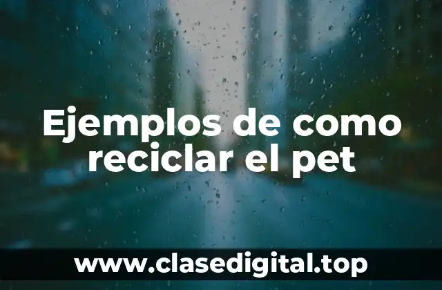 Ejemplos de como reciclar el pet
