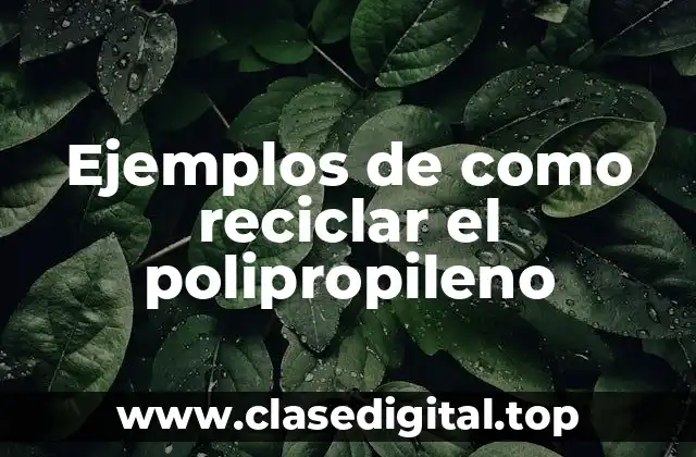 Ejemplos de como reciclar el polipropileno
