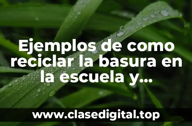 Ejemplos de como reciclar la basura en la escuela y Significado