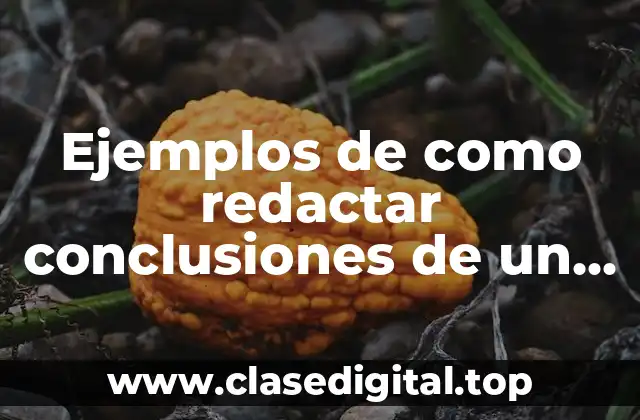 Ejemplos de como redactar conclusiones de un informe
