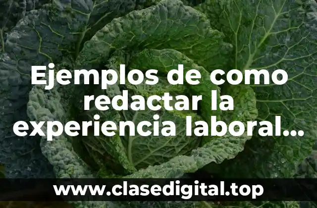 Ejemplos de como redactar la experiencia laboral en un currículum