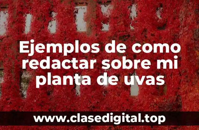 Ejemplos de como redactar sobre mi planta de uvas