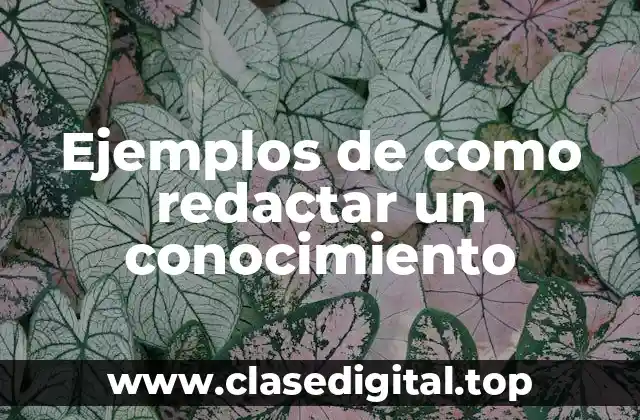 Ejemplos de como redactar un conocimiento