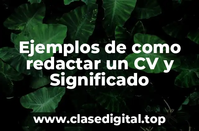 Ejemplos de como redactar un CV y Significado