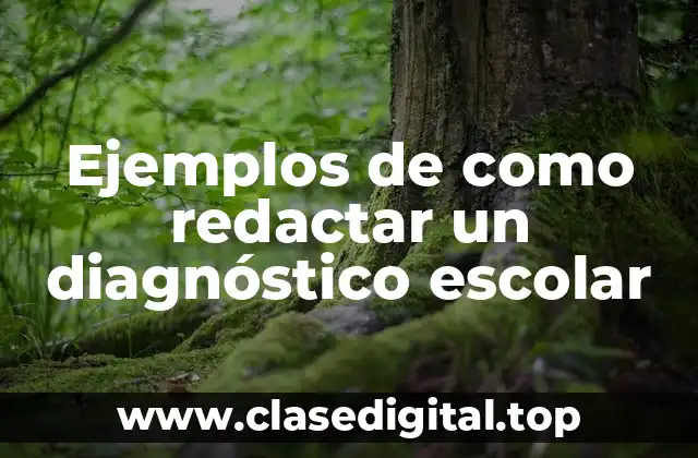 Ejemplos de como redactar un diagnóstico escolar