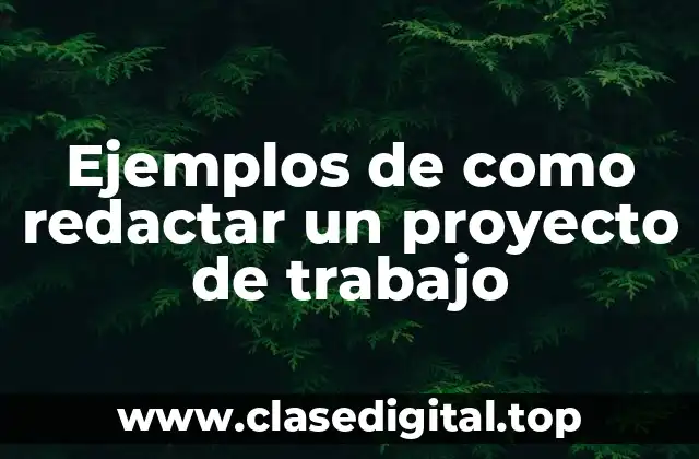 Ejemplos de como redactar un proyecto de trabajo