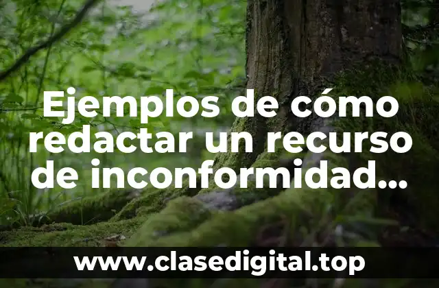 Ejemplos de cómo redactar un recurso de inconformidad ante CAASIM