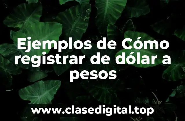 Ejemplos de Cómo registrar de dólar a pesos