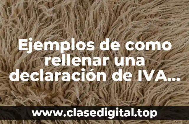 Ejemplos de como rellenar una declaración de IVA para persona moral y Significado