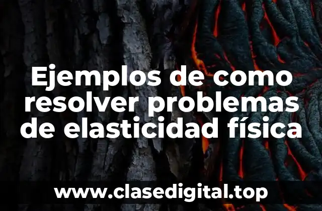 Ejemplos de como resolver problemas de elasticidad física