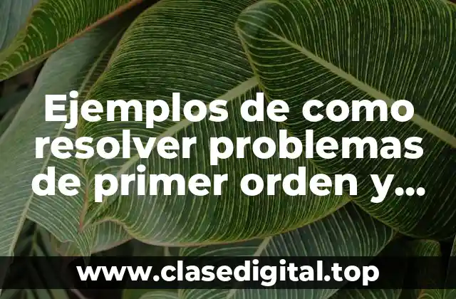 Ejemplos de como resolver problemas de primer orden