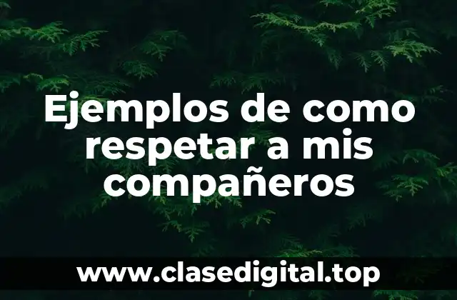 Ejemplos de como respetar a mis compañeros