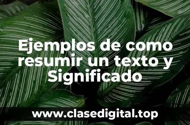 Ejemplos de como resumir un texto