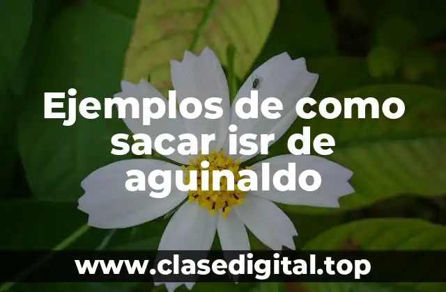 Ejemplos de como sacar isr de aguinaldo