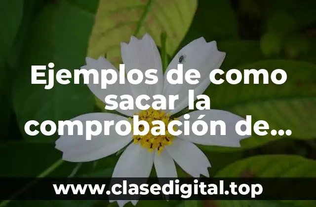 Ejemplos de como sacar la comprobación de una división