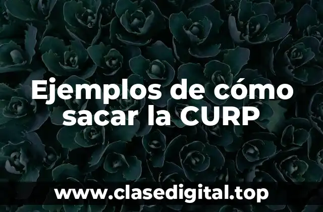 Ejemplos de cómo sacar la CURP