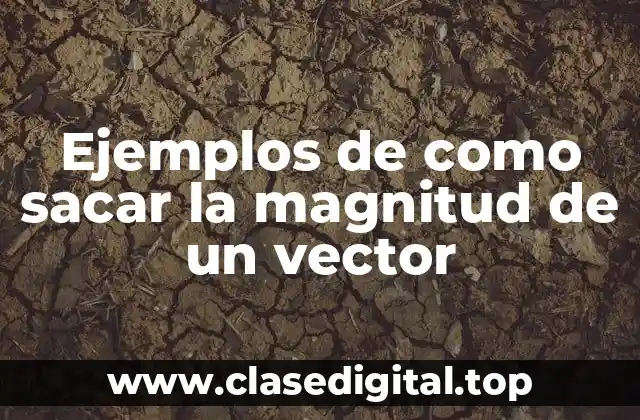 Ejemplos de como sacar la magnitud de un vector