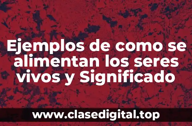 Ejemplos de como se alimentan los seres vivos y Significado