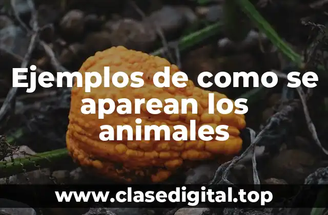 Ejemplos de como se aparean los animales