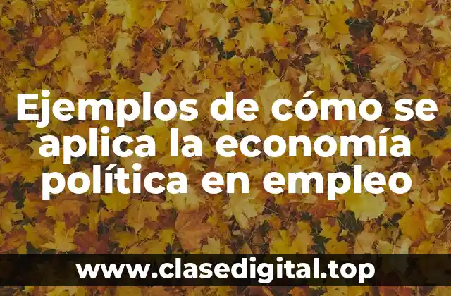 Ejemplos de cómo se aplica la economía política en empleo