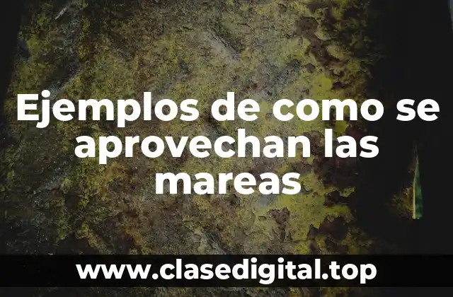 Ejemplos de como se aprovechan las mareas