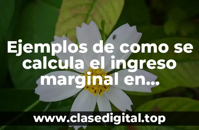 Ejemplos de como se calcula el ingreso marginal en monopolio